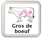 Boyaux Gros de buf