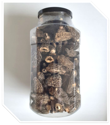 Morilles spéciales Premium (Sans Queue Calibrées 3-5CM) tubo 300g