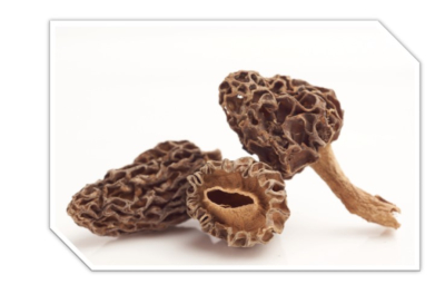 Morilles