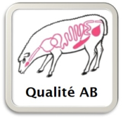 Boyaux de mouton qualite AB