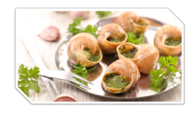 Coquilles escargots